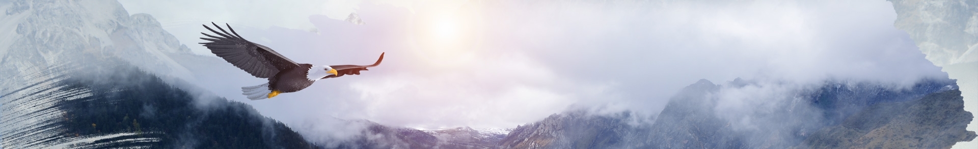 开云体育网址最新